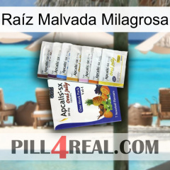 Raíz Malvada Milagrosa 11